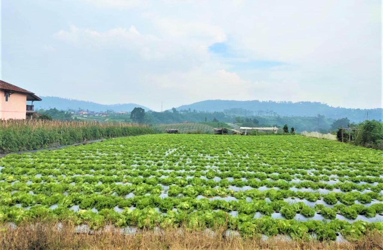 Villa Lembang Bunda Cikareumbi ภายนอก รูปภาพ